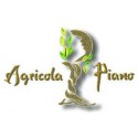 supplier - Agricola Piano